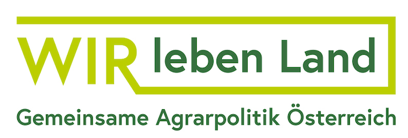 Logo Sponsor